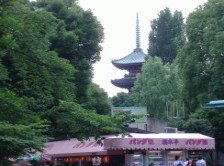 Gojunoto, five storied pagoda